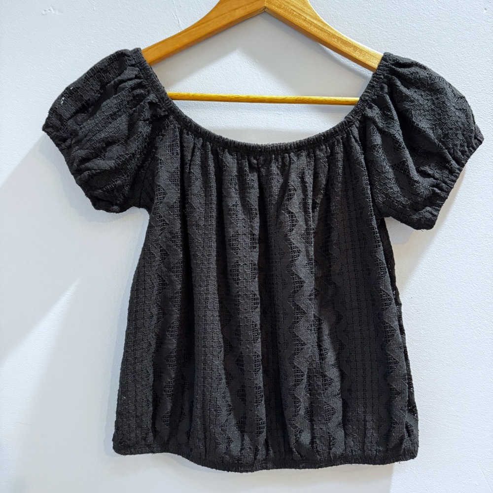 Express Black Lace Cap Sleeve Lined Crop Top Festival Whimsigoth Casual Size M